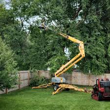 How Our Tree Care Process Works  in  Bessemer, AL